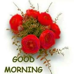 Maniraju photo on Jungo Live