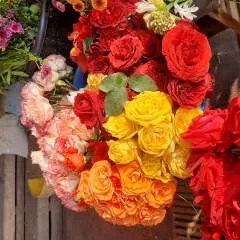 Sabrina photo on Jungo Live