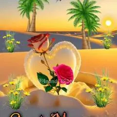 Malik Mlik photo on Jungo Live