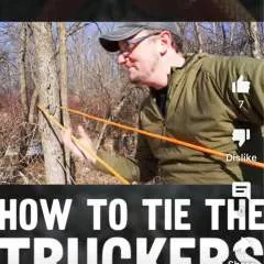 Cachac photo on Jungo Live