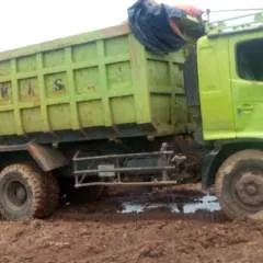 Reno photo on Jungo Live