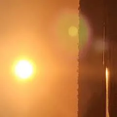 Silverfox photo on Jungo Live