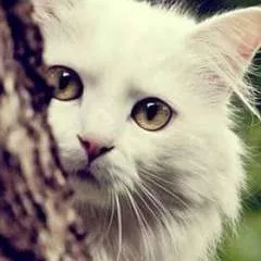 Happy Need A Bf photo on Jungo Live