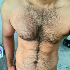 Stallion photo on Jungo Live