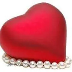 Sam photo on Jungo Live