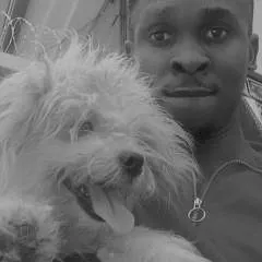 Big photo on Jungo Live