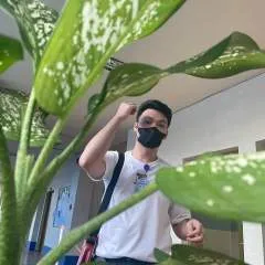 Jeffetoile12 photo on Jungo Live