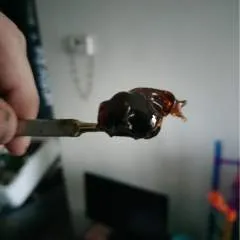 Thatguy........ photo on Jungo Live