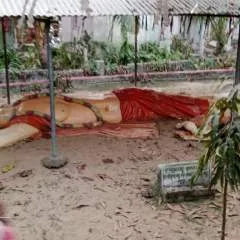 Rohan photo on Jungo Live