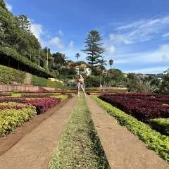 Zizzcorreia photo on Jungo Live