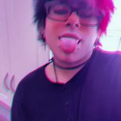 Xander photo on Jungo Live