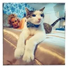 Zeo Angela 34 photo on Jungo Live