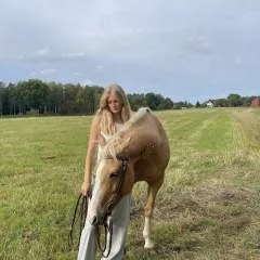 Miss Judith photo on Jungo Live