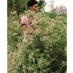 Calvin Gamboa photo on Jungo Live