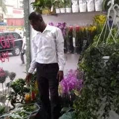 Johnny photo on Jungo Live