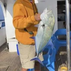 Sambo69 photo on Jungo Live