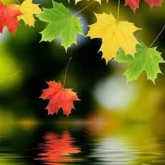 Kanon........ photo on Jungo Live