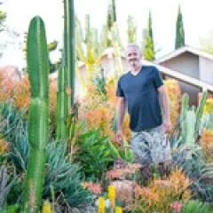 Californian photo on Jungo Live