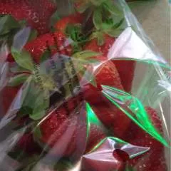 Ivanthegrozny........ photo on Jungo Live