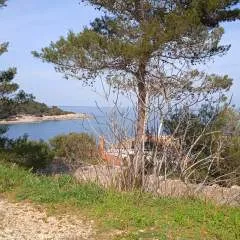 Ivanthegrozny........ photo on Jungo Live