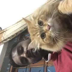 Blacky photo on Jungo Live