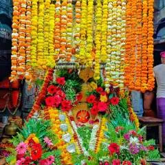 Vijay photo on Jungo Live