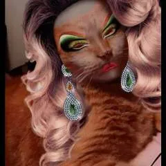 The Gay Boy photo on Jungo Live