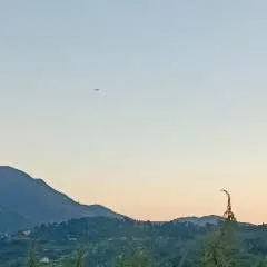 Sakura photo on Jungo Live