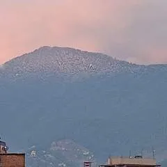 Sakura photo on Jungo Live