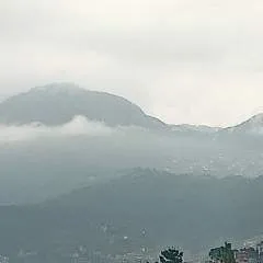 Sakura photo on Jungo Live