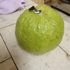 Aman photo on Jungo Live