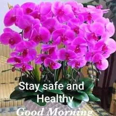 Raz photo on Jungo Live