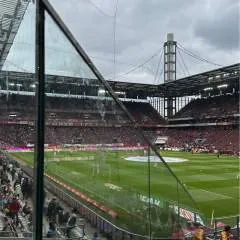 Alex.... photo on Jungo Live