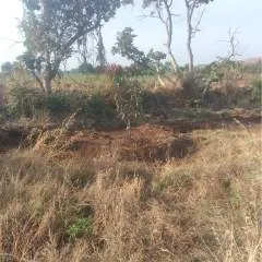 Kirsh photo on Jungo Live