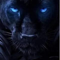 Carlos........ photo on Jungo Live