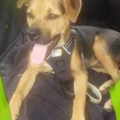 Sammielove/johnny photo on Jungo Live