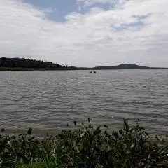 Drache........ photo on Jungo Live