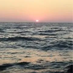 Sanishi photo on Jungo Live