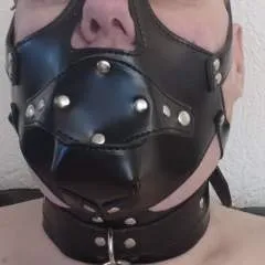 Slaafsteven photo on Jungo Live