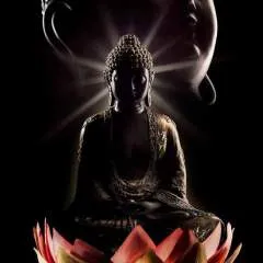 John photo on Jungo Live