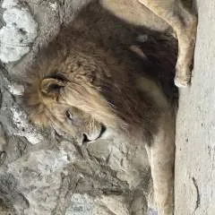 Jadlina photo on Jungo Live