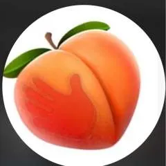 Dommetamara.... photo on Jungo Live