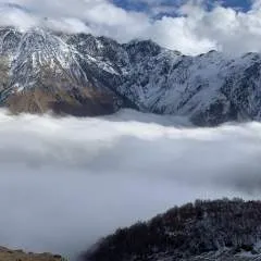 Basko photo on Jungo Live