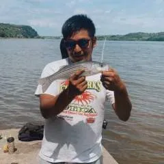 Marco Ervolina photo on Jungo Live