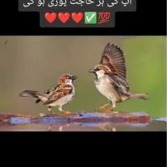 Khan photo on Jungo Live