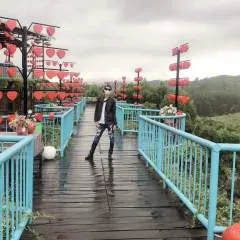 Wilson.... photo on Jungo Live