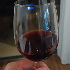 Johnsonbra photo on Jungo Live