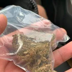 Ferd photo on Jungo Live