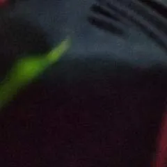 Ramesh photo on Jungo Live