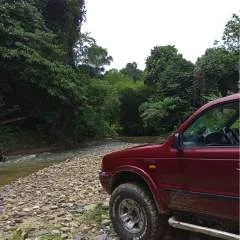 Dope........ photo on Jungo Live